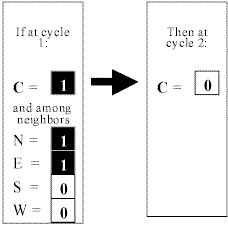A basic cell rule table